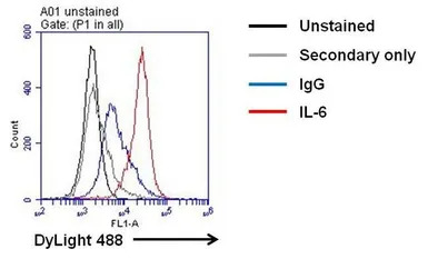 IL6 antibody [5IL6]