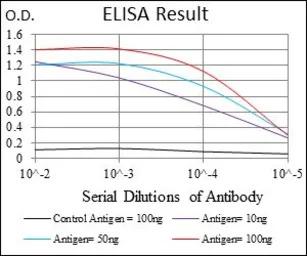 Raf1 antibody [4G4]