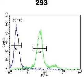 COL18A1 antibody, N-term