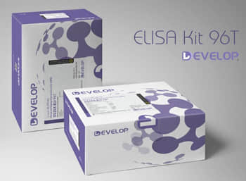 Mouse Colony Stimulating Factor 3, Granulocyte (GCSF) ELISA Kit