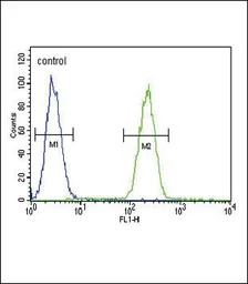 GIPR antibody, N-term