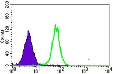 MRPL42 antibody [3H6G11]