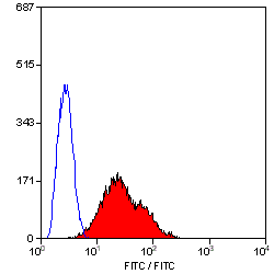 CD28 antibody [JJ319] (FITC)