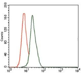 DLL4 antibody [4A11]