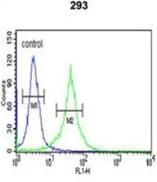 DCD antibody, C-term
