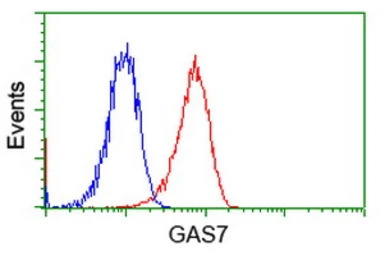 GAS7 antibody [6G5]