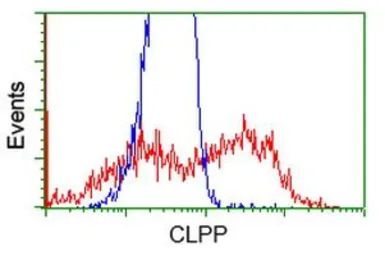 CLPP antibody [1D8]