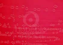 志贺氏菌显色平板(9cm)