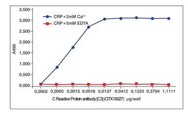 C Reactive Protein antibody [C