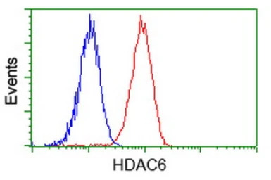 HDAC6 antibody [4C5]