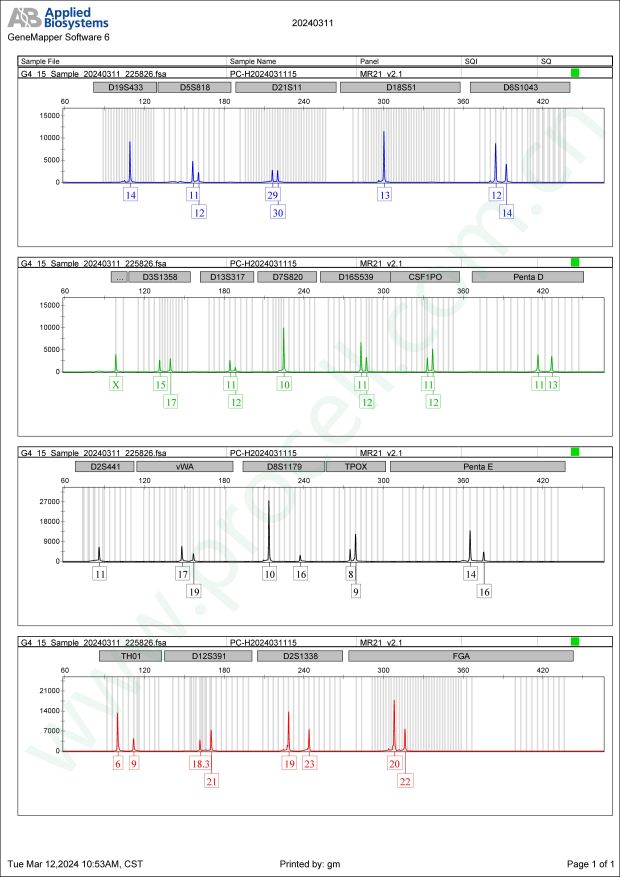 HT-29（人结肠癌细胞）