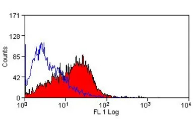 CD86 antibody [24F]