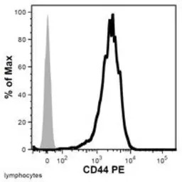 CD44 antibody [MEM-263] (PE)