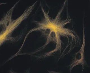 产品细节图片10