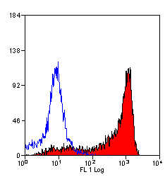 CD11b antibody [OX-42] (PE)
