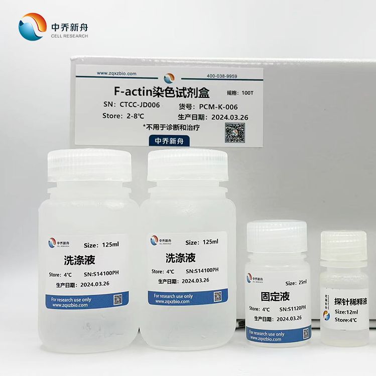 F-actin染色试剂盒