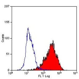 CD90 antibody [F15-42-1] (PE)