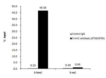 5-Hydroxymethylcytosine / 5-hm
