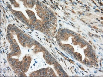 产品细节图片5