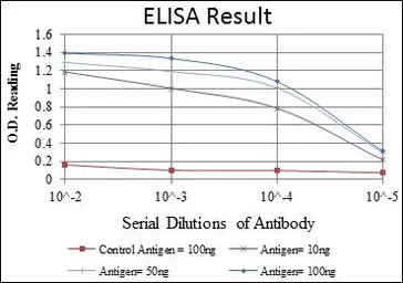 GluR3 antibody [1D2]
