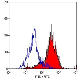 MSR1 antibody [2F8] (FITC)