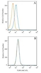 TLR8 antibody [44C143]