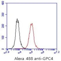 Glypican 4 antibody [AT51E3]