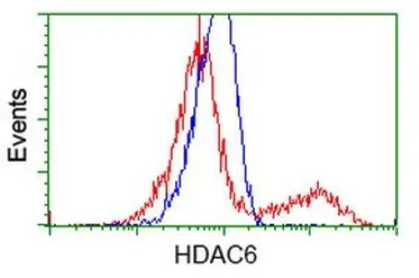HDAC6 antibody [4C5]