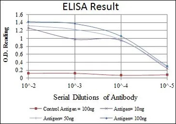 SNAI1 antibody [6D2]
