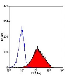 CD34 antibody [1H6] (PE)