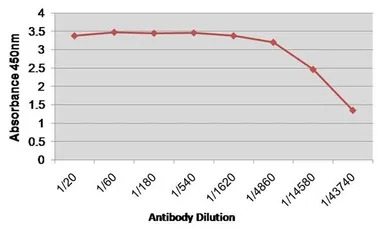 Factor VIII antibody [RFF-VIII