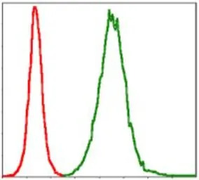 Troponin I fast skeletal muscl