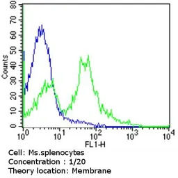 TCR V beta 5a antibody [1C1] (