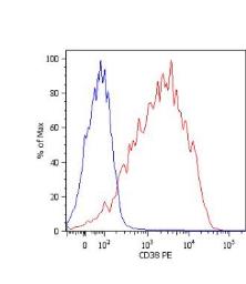 CD38 antibody [HIT2]