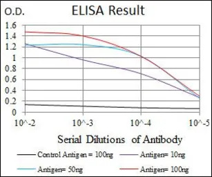 DLL4 antibody [4A11]