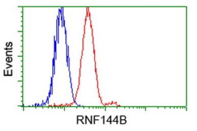 RNF144B antibody [11F4]