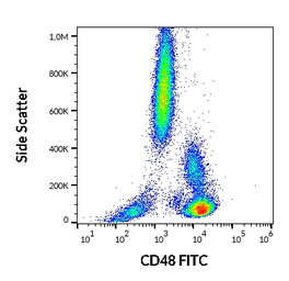 CD48 antibody [MEM-102] (FITC)