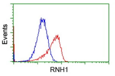 Ribonuclease Inhibitor antibod