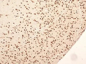 产品细节图片17