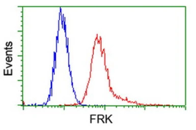 FRK antibody [5F3]
