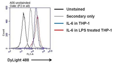 IL6 antibody [5IL6]