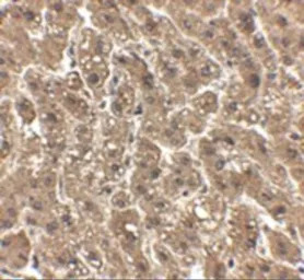 产品细节图片2