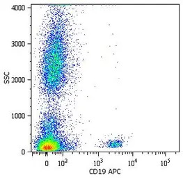 CD19 antibody [LT19] (APC)