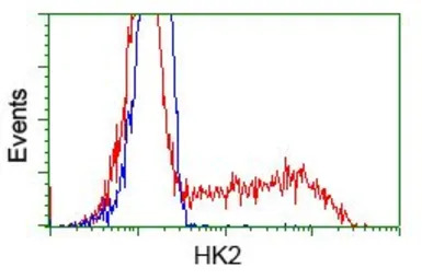 Hexokinase II antibody [4C5]