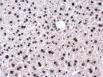 产品细节图片10