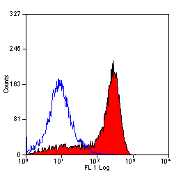 CD11b antibody [OX-42] (PE)