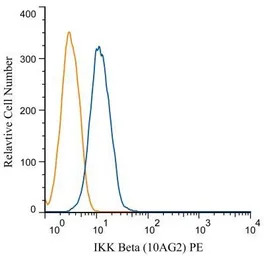 IKK beta antibody [10AG2]