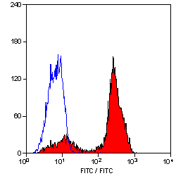 CD2 antibody [LT2] (PE)