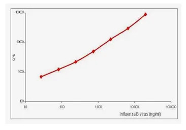 Influenza B virus Nucleoprotei