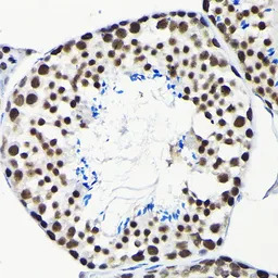 产品细节图片10
